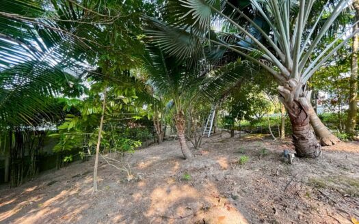 3 Bed Garden Villa